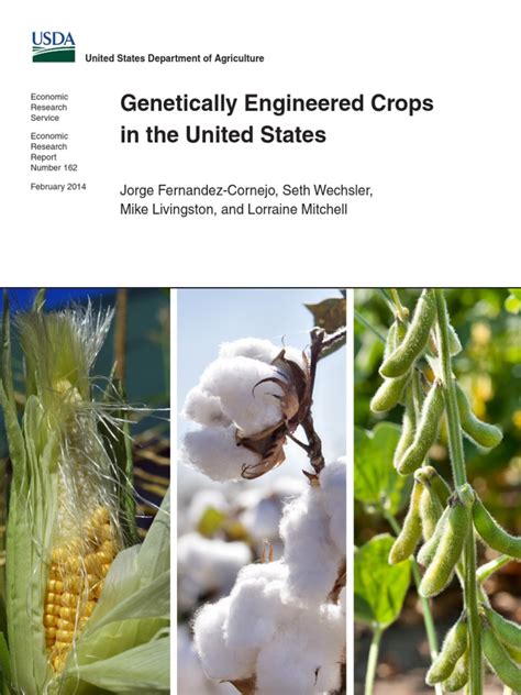 Genetically Engineered Crops in the United States | Genetically ...