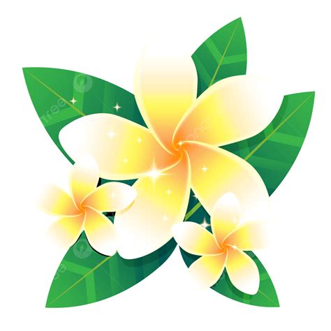 Frangipani Flower Songkran White Leaf Flower Leaf Frangipani Png