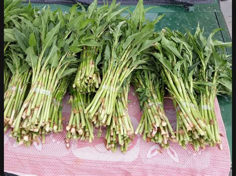 Lora on Twitter: "Уральская кислица ! Как мы ее в детстве любили ...