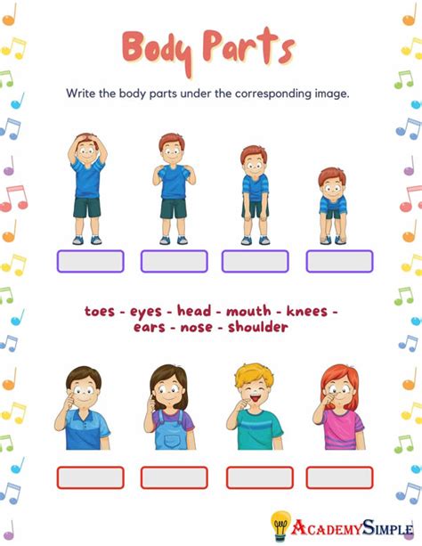 The Human Body Parts Worksheet Head Shoulder Knees And Toes 4