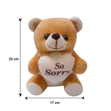 Order Sorry Greeting Card Chocolate Set And Teddy Bear Up To 45 Off