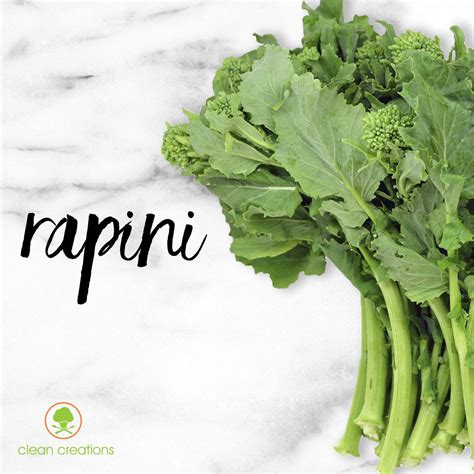 Rapini (a.k.a. Broccoli Rabe, Broccolini) may look like a leafy, stalky ...