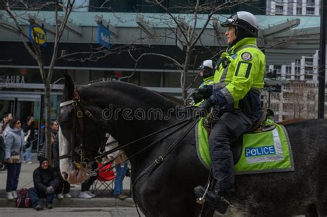 Mounted Police Patrol in Toronto Editorial Stock Photo - Image of ...