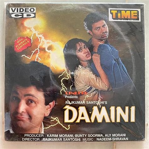 Damini : Sunny Deol, Meenakshi Seshadhri, Rishi Kapoor, Amrish Puri ...