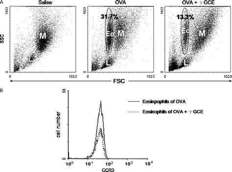 Figure 7 From Glutathione Redox Regulates Airway Hyperresponsiveness