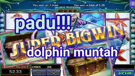 Padu DOLPHIN REEF Pecah Free Spin Muntah Belut YouTube