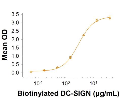 Recombinant Human BTN2A1 Fc Chimera Protein CF 11521 BT 050 R D Systems