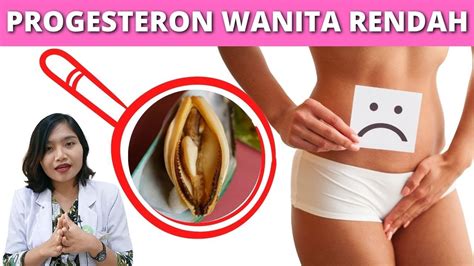 8 Tanda Hormon Progesteron Rendah Pada Wanita Penyebab Sulit Hamil Dr Emasuperr Youtube