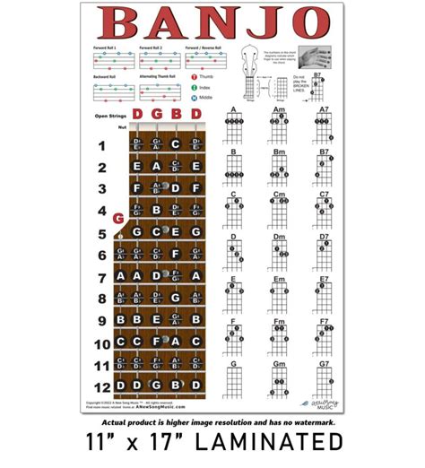 Laminated Banjo Chord Chart Poster Fretboard Grelly België