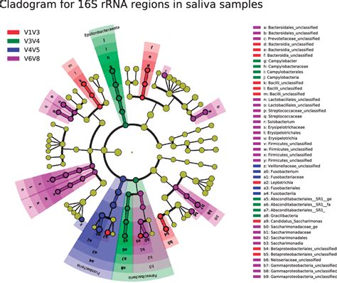 Linear Discriminant Analysis Effect Size Lefse Cladogram For