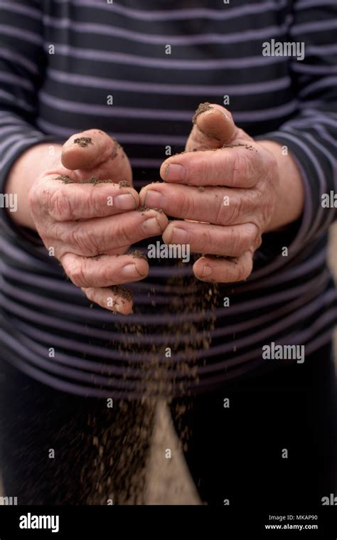 Manos sucias con tierra fotografías e imágenes de alta resolución Alamy