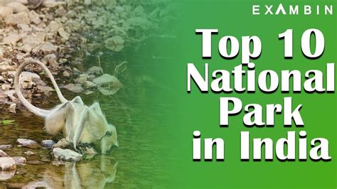 Top 10 Best And Biggest National Parks In India 2018 Update Youtube