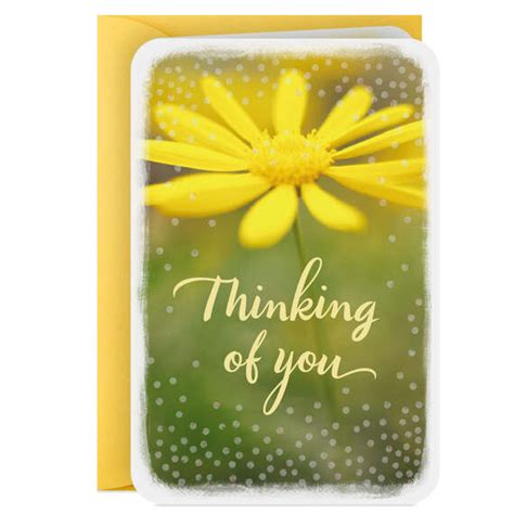 3 25 Mini Hope Youre Having A Good Day Thinking Of You Card