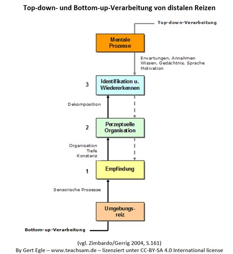 Stufen Modell Der Wahrnehmung