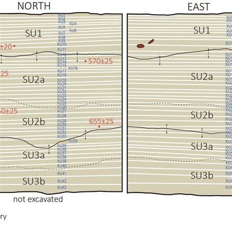 Section Drawing Of The Miruka Excavation Showing The Location Of The Download Scientific