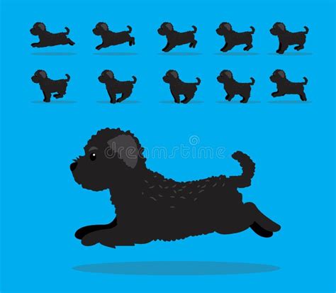 Animal Animation Sequence Dog Bouvier Des Flandres Cartoon Vector Stock Vector - Illustration of ...