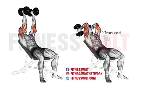 How To Do Dumbbell Incline Triceps Extension Exercise Guide Video