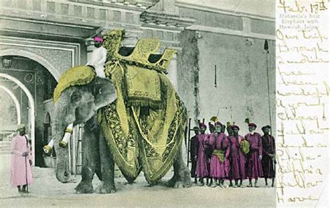 Maharaja's best Elephant With Howdah, Jaipur, Rajasthan