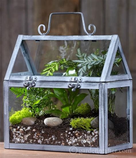 A Wardian Case A Great Way To Bring The Outdoors In Miniature Greenhouse Terrariums Kits