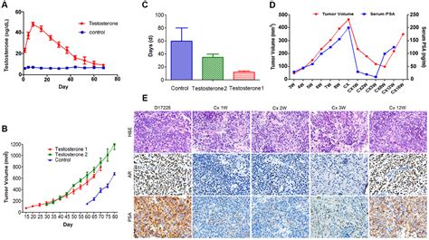 Establishment And Characterization Of Patient Derived Xenografts For