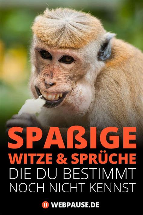 15 Spaßige Witze und Sprüche du bestimmt noch nicht kennst