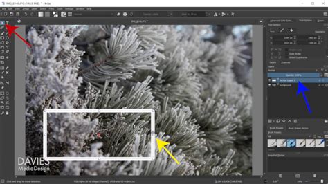 Gimp Vs Krita Which Is The Better Free Photo Editor Davies Media