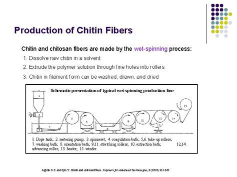 Literature Review Chitin And Chitosan From Nature To