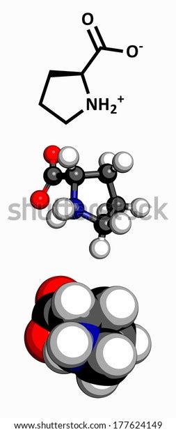 Proline Pro P Amino Acid Molecule Stock Illustration 177624149