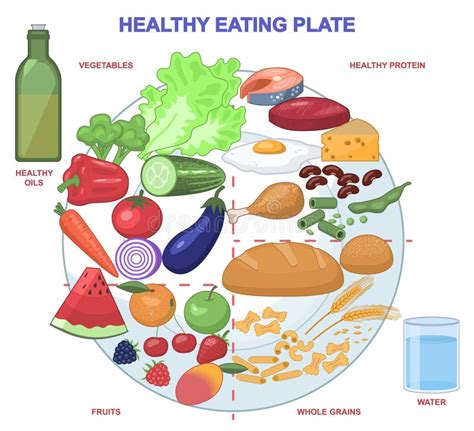 Healthy Eating Plate Vector Illustration Stock Vector Illustration Of