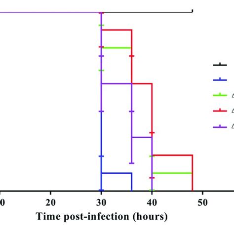 Intercellular Spreading Of B Pseudomallei Strains In Hela Cells A Download Scientific