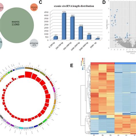 Circrna Expression Profiles Detected By High Throughput Sequencing A