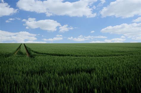 Agro O Que Esperar Em Junho