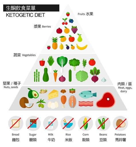 素食生酮可以吃的東西原來這麼多，需要注意哪些生酮雷區 蔬步起