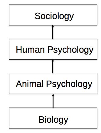 Lecture Behaviorism Flashcards Quizlet