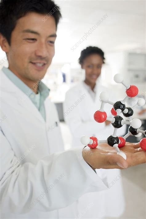 Chemists - Stock Image - F003/3991 - Science Photo Library