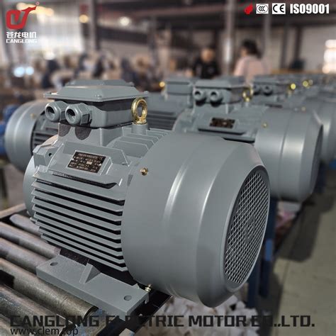 Ye3 Aluminum Case 112m 4p AC Phase Motor 3 Phase Motor And Three