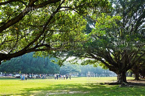 The Campus Landscape Of National Cheng Kung University Ncku Tainan