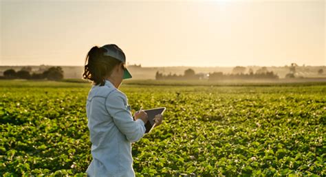 Cuaderno de Campo Digital El Futuro de la Gestión Agrícola en Tus