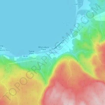 Rotoiti Topographic Map Elevation Terrain