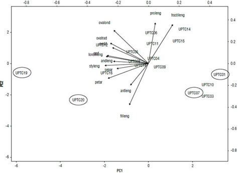 Responses Of Landraces And Commercial Cultivars Of Yellow Passion Fruit