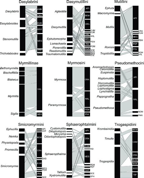 Bipartite Graphs Of The Quantitative Mutillid Host Networks One Per