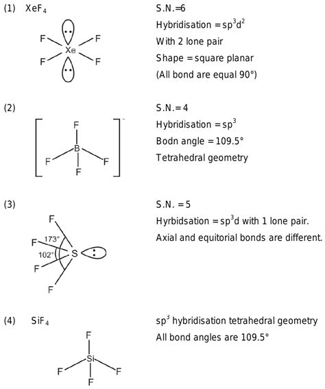 Draw The Lewis Structure For The Following Molecule Xef