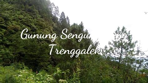 Keindahan Gunung Sengungklung Dibalik Kisah Mistisnya Youtube