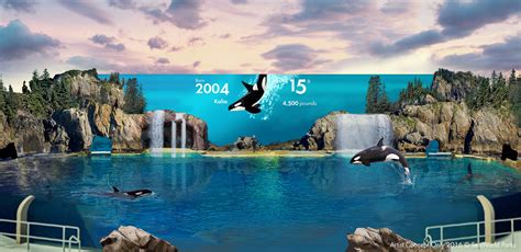 Seaworld San Diego Introducing Three New Attractions This Summer