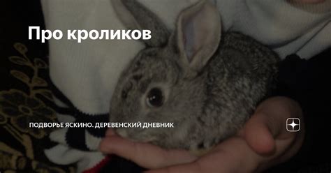 Про кроликов | Подворье Яскино. Деревенский дневник | Дзен