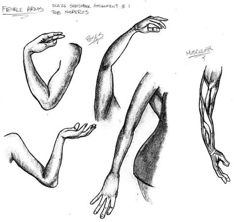 How To Draw Female Arms And Hands Then You Ll Need To Know About The