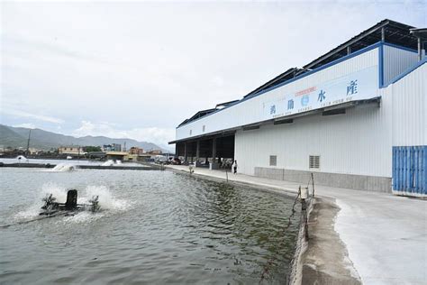 漁電共生養殖場結合初級加工場 提升養殖產業品質競爭力 中央社訊息平台