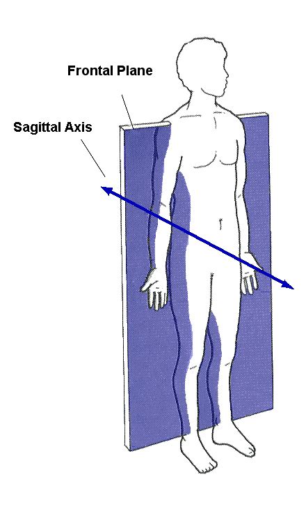 Sagittal Axis Of Rotation