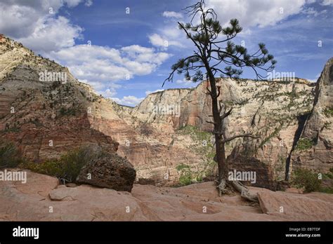 View From The Angels Landing Trail Zion National Park Utah Stock