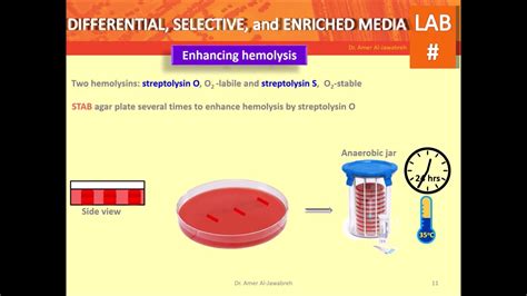 Types Of Culture Media: Differential, Selective And, 42% OFF